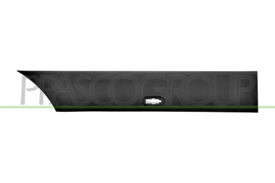 MOLDURA ALETA TRASERA DERECHA-PARTE DELANTERA-NEGRA-GRANULADA-CON CLIPS-CON AGUJERO LUZ DE GALIBO MOD. PASO LUNGO