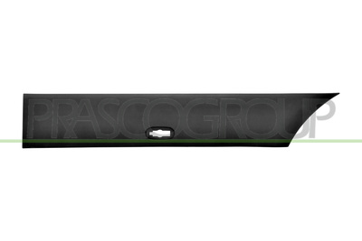 MOLDURA ALETA TRASERA IZQUIERDA-PARTE DELANTERA-NEGRA-GRANULADA-CON CLIPS-CON AGUJERO LUZ DE GALIBO MOD. PASO LUNGO